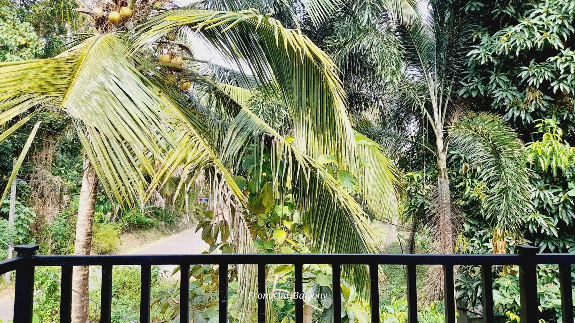 Le Meridien Bnb For Foreign Travelers ネゴンボ エクステリア 写真
