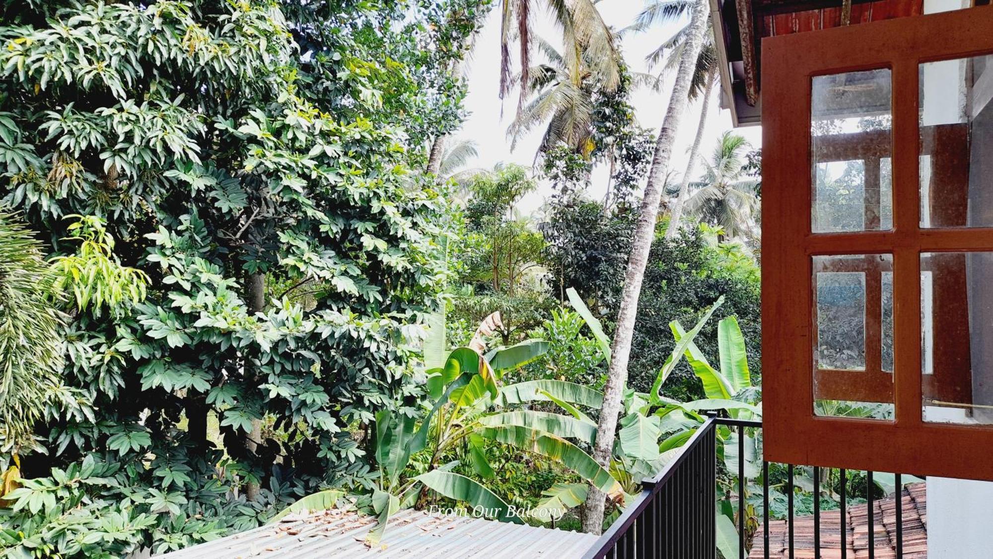 Le Meridien Bnb For Foreign Travelers ネゴンボ エクステリア 写真