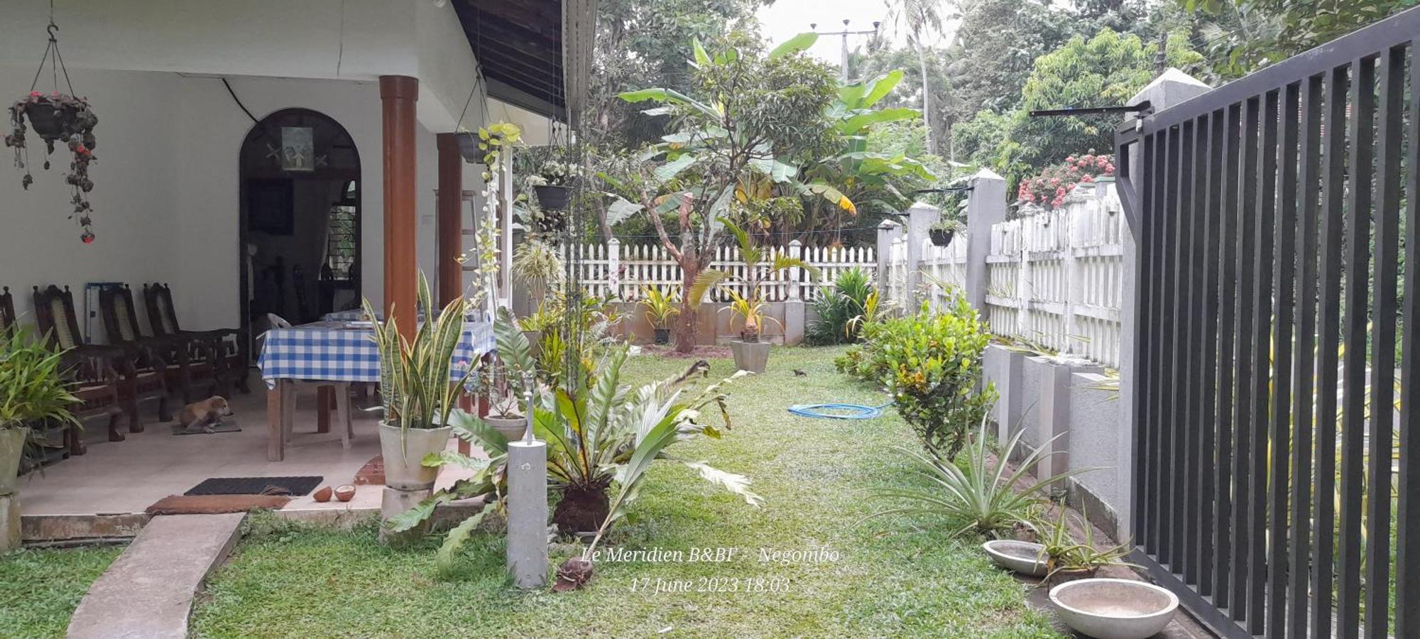 Le Meridien Bnb For Foreign Travelers ネゴンボ エクステリア 写真